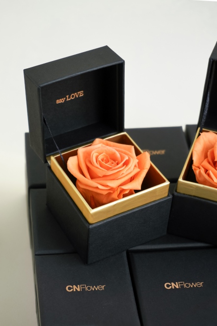 SAY LOVE恆星戒盒-日落橙