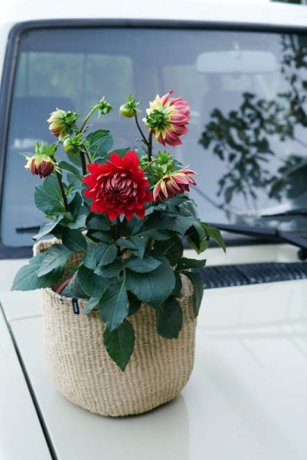 Kiondo 無提把編織籃 S