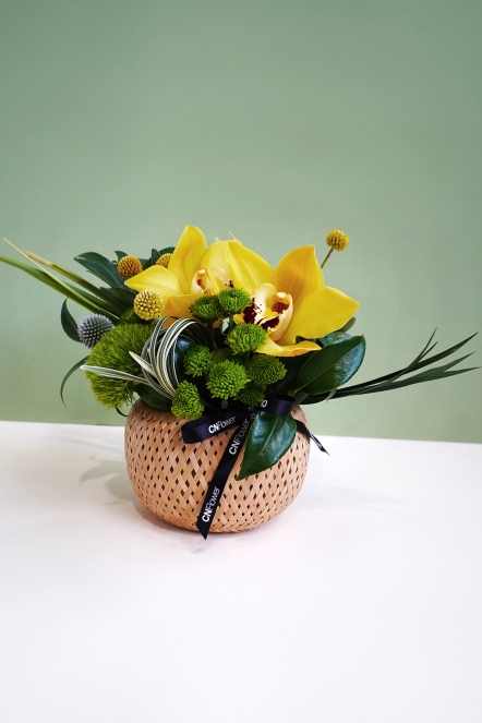 沁黃蘭夏小盆花