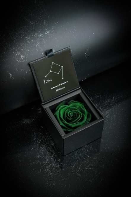 星座恆星花2.0-天秤(Persian Green)