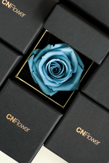 SAY LOVE恆星戒盒-湛藍