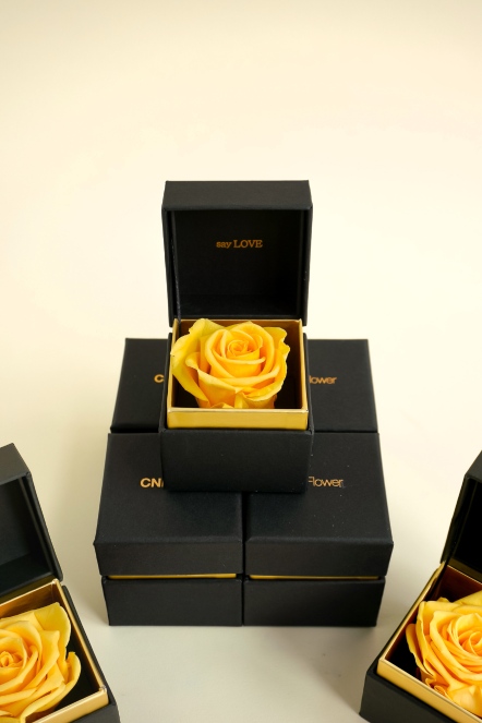 SAY LOVE恆星戒盒-鵝黃