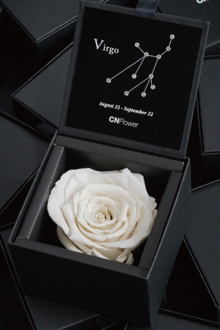 星座恆星花-處女(Platinum White)