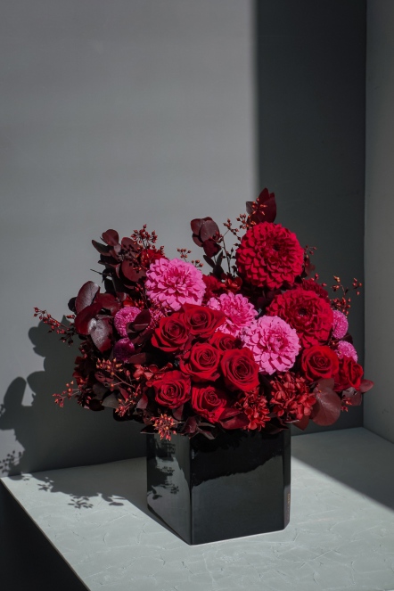 大理女皇 恆星花禮