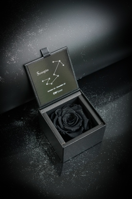 星座恆星花2.0-天蠍(Laser Black)