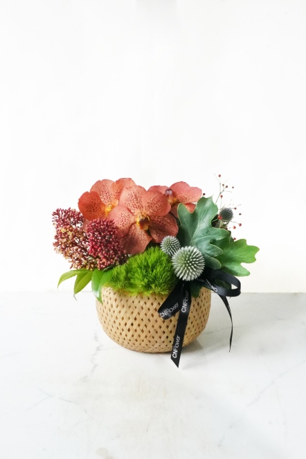 仲夏夜(橘紅) 小盆花