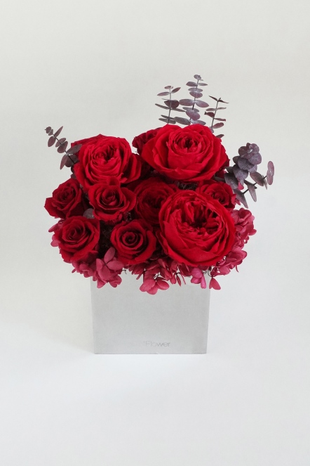 傾心時刻 恆星盆花