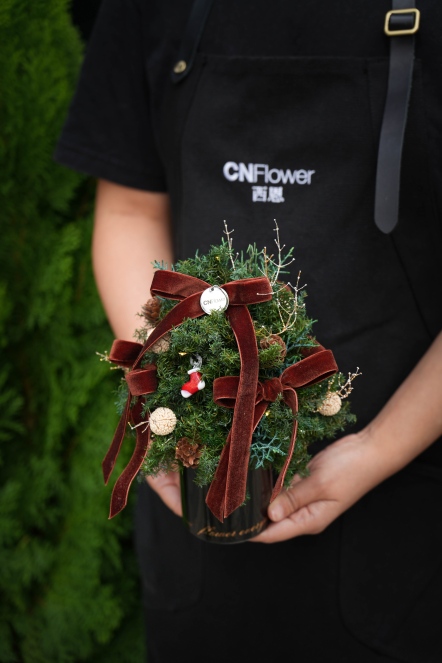 冬日松林 恆星聖誕小樹