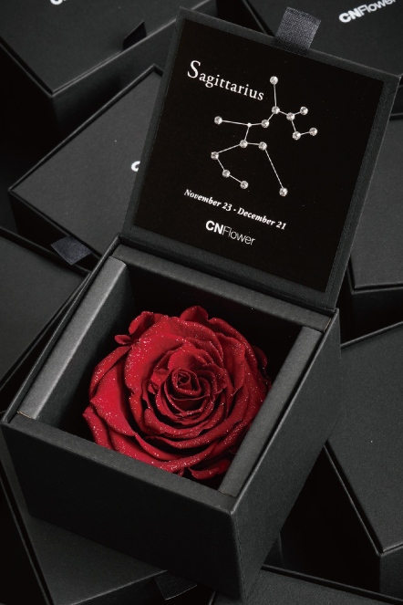 星座恆星花-射手(Antique Red)