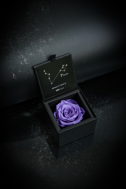 星座恆星花2.0-雙魚(LILAC)