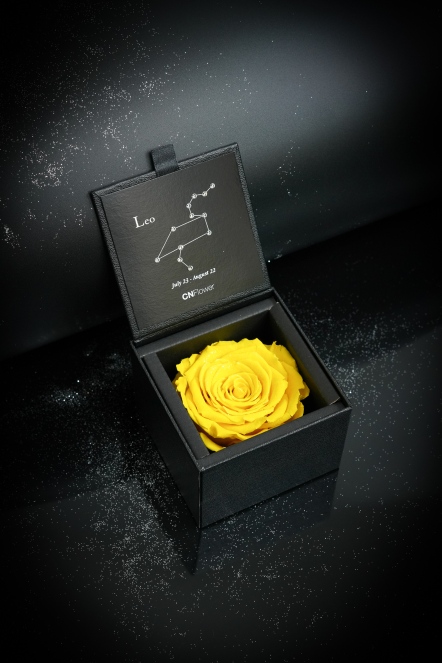 星座恆星花2.0-獅子(Citrus Yellow)