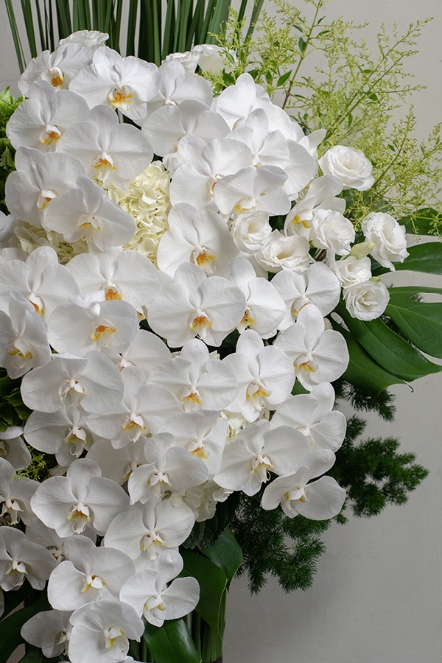 花籃圖 Punch Of Color Bouquet in Seattle WA - The Flower Lady