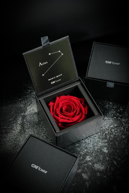 星座恆星花2.0-牡羊(Bright Red)