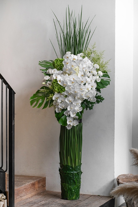 雅緻白蝴蝶蘭高架花籃