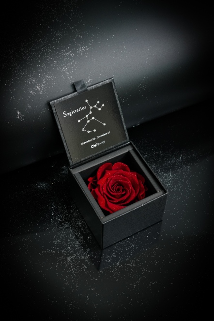 星座恆星花2.0-射手(Antique Red)