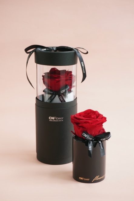 Only you 恆星花圓禮盒