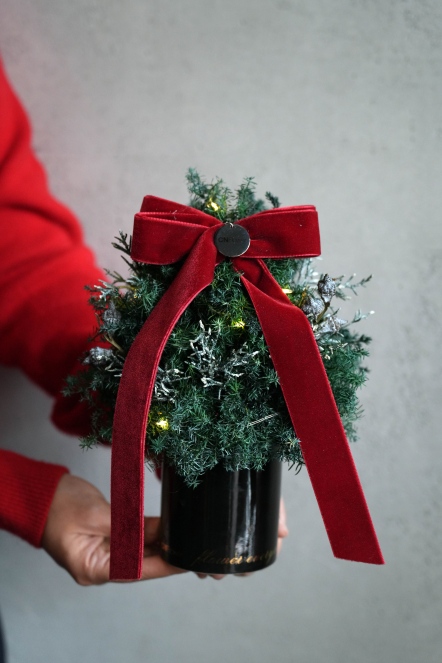 冬日紅絲絨 恆星聖誕小樹