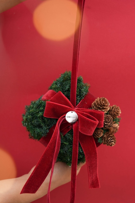 聖誕禮物 恆星聖誕掛飾