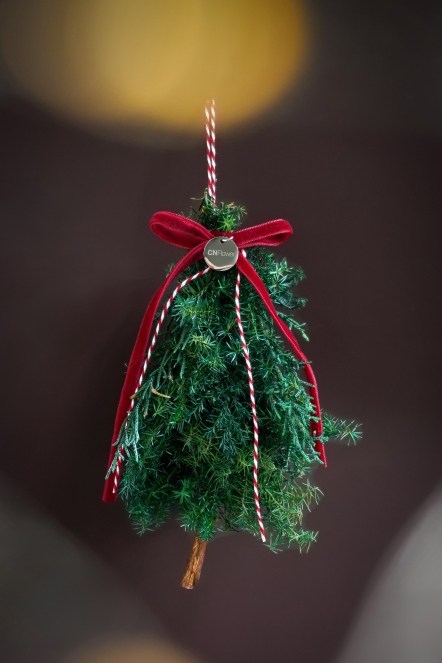 恆星迷你聖誕樹