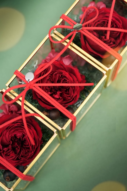 玫好小聖誕 恆星花禮