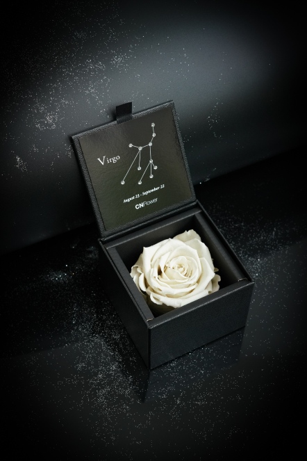 星座恆星花2.0-處女(Platinum White)