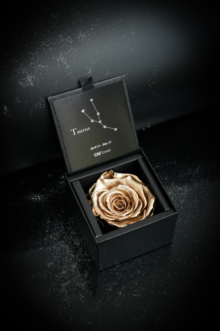 星座恆星花2.0-金牛(GOLD)