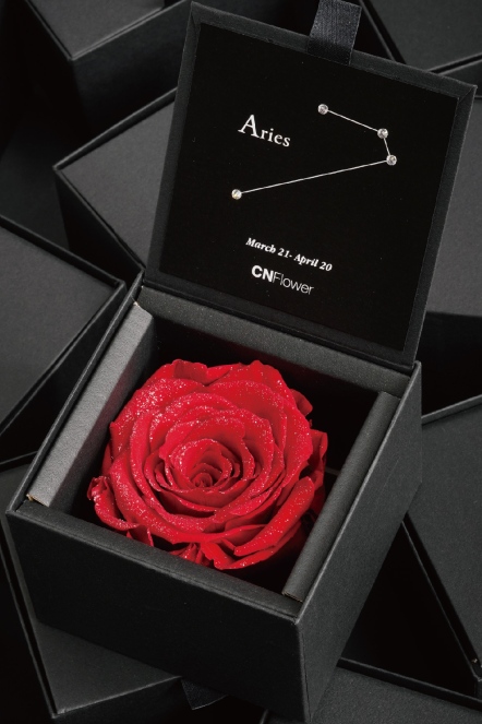 星座恆星花-牡羊(Bright Red)