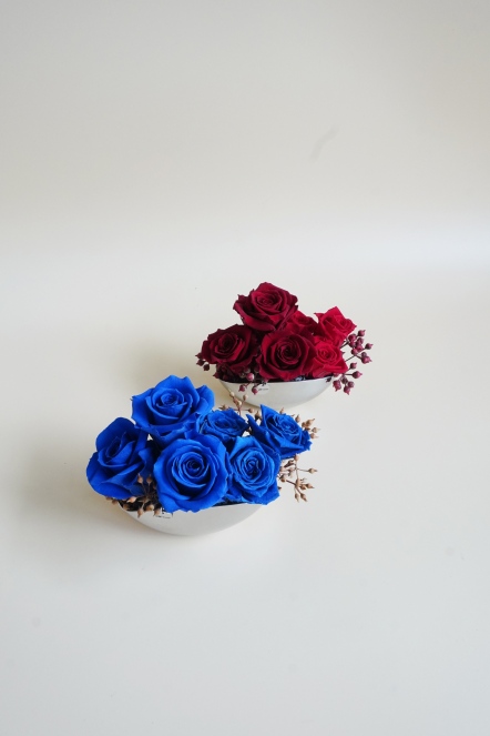 藍/紅玫星空 恆星盆花