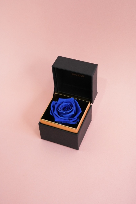 SAY LOVE恆星戒盒-皇家藍