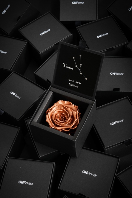 星座恆星花-金牛(Copper)